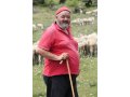 Il pastore Gregorio Rotolo