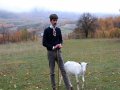 Il poeta contadino Carmine Valentino Mosesso